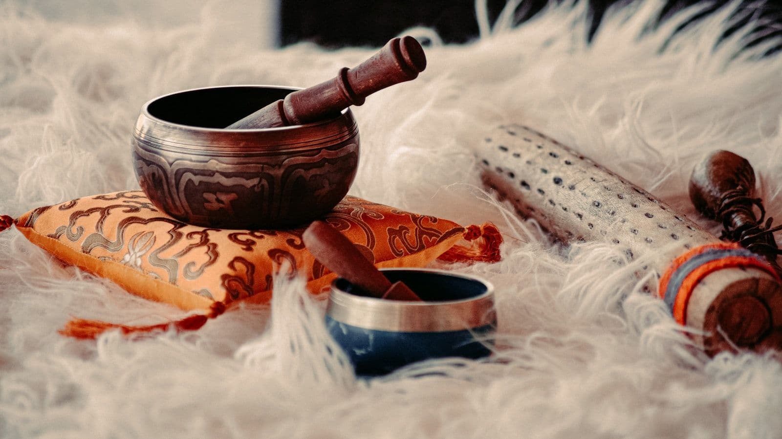Ayurveda 101: A Beginner's Guide to India's Ancient Wellness Science